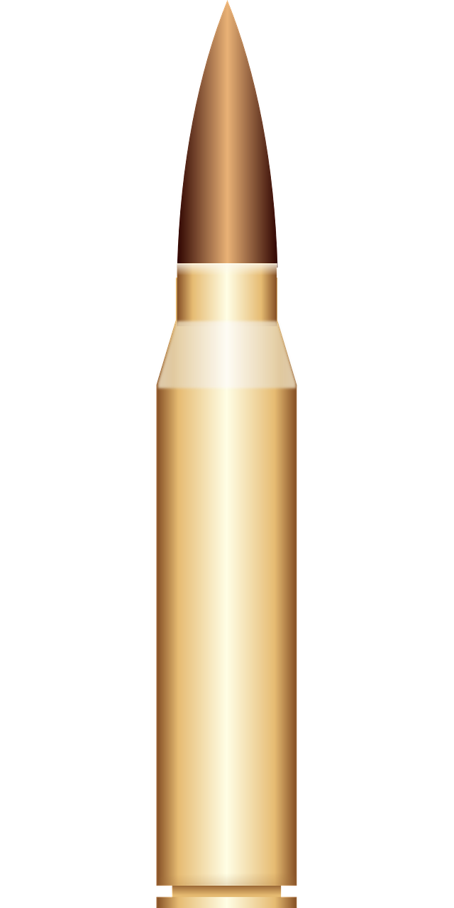 初告白 第13頁(yè)