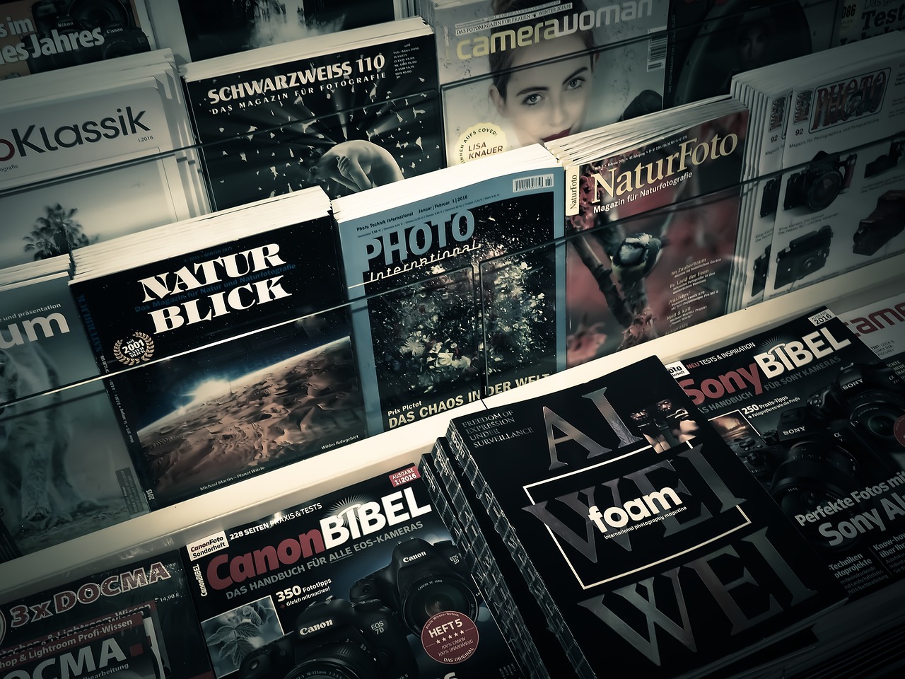 淡年華失青春 第17頁