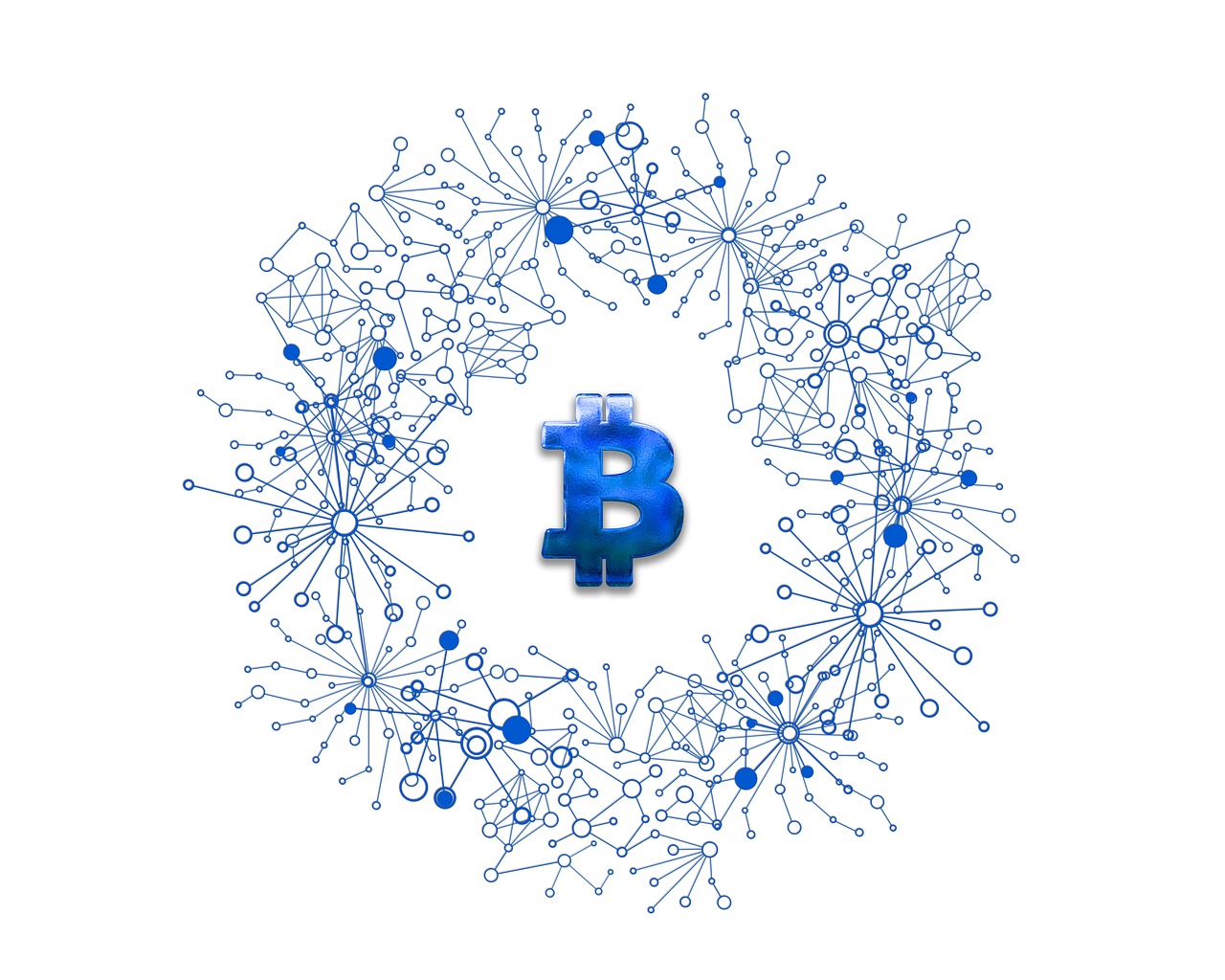 美人魚幣最新動(dòng)態(tài)，探索數(shù)字貨幣新領(lǐng)域