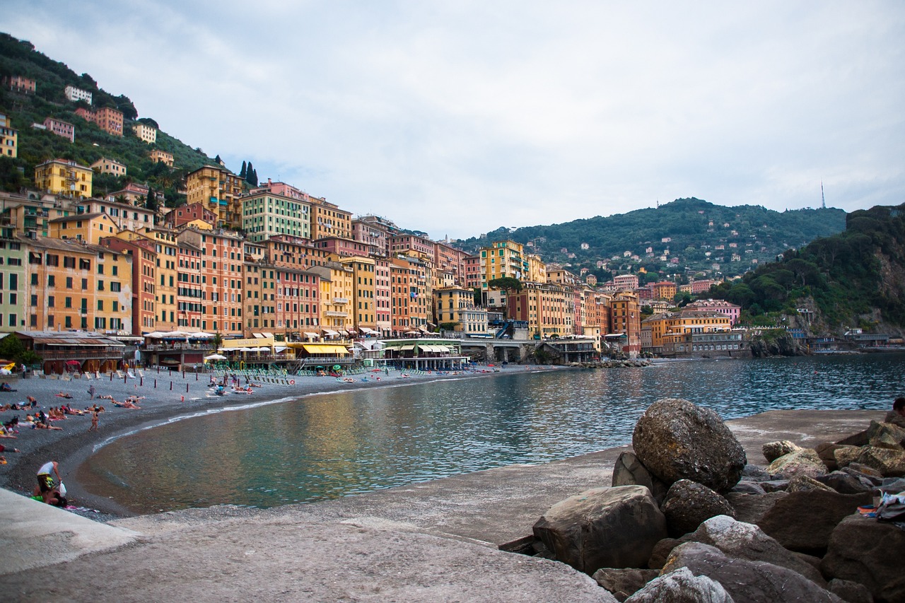 樂亭果菜最新批發(fā)價格概覽，最新市場動態(tài)與價格信息解析