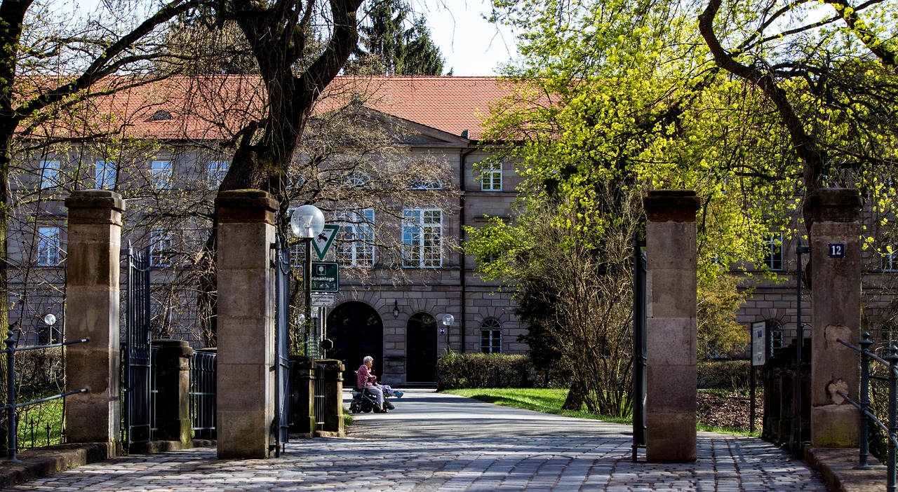 洛陽王城大道最新動(dòng)態(tài)，城市發(fā)展的脈搏與未來展望