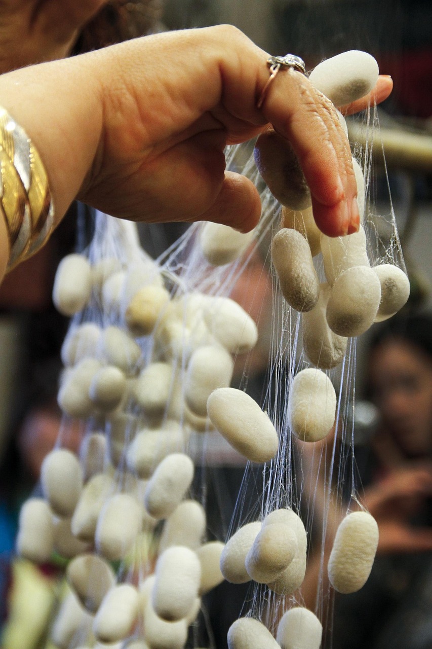 三殿村改造最新動態(tài)，重塑鄉(xiāng)村風貌，邁向現(xiàn)代化進程