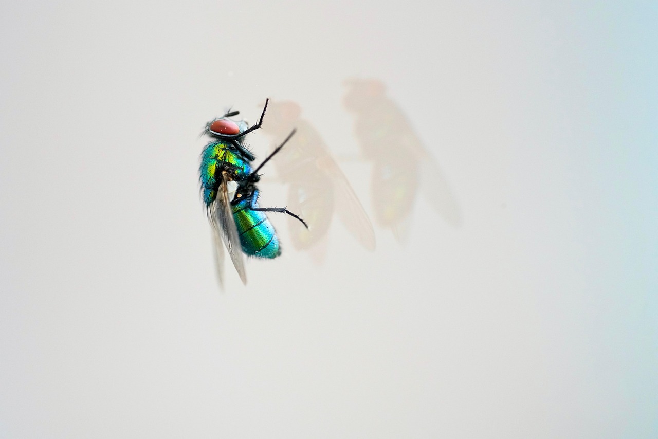 天天炫斗最新版2015年，游戲新體驗與特色解析