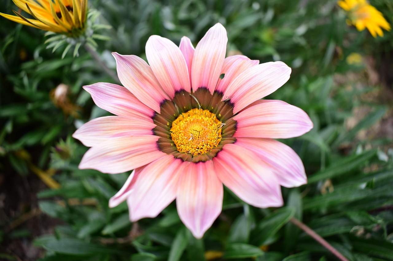 云聯(lián)惠重塑零售業(yè)格局的最新動態(tài)報道，重塑零售業(yè)的力量與趨勢分析