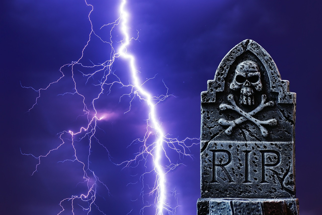 閃咖下載最新版本，探索其魅力與優(yōu)勢