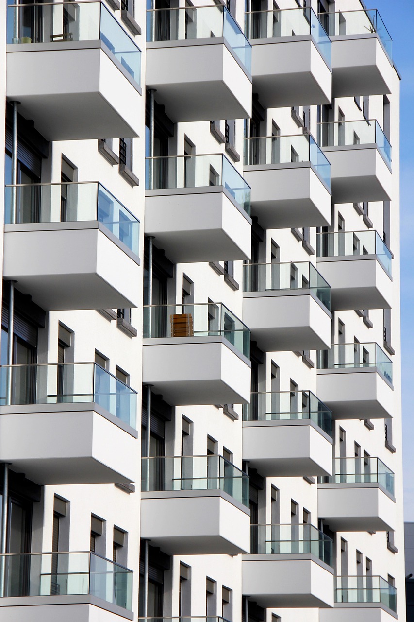 心已麻木 第11頁(yè)