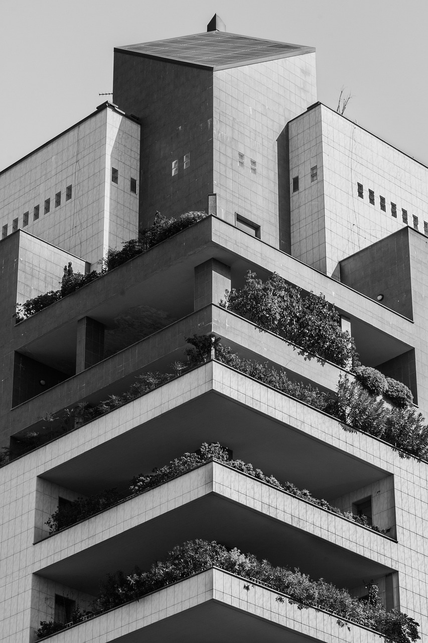 秦漢大道二期最新動(dòng)態(tài)，建設(shè)進(jìn)展及未來(lái)展望