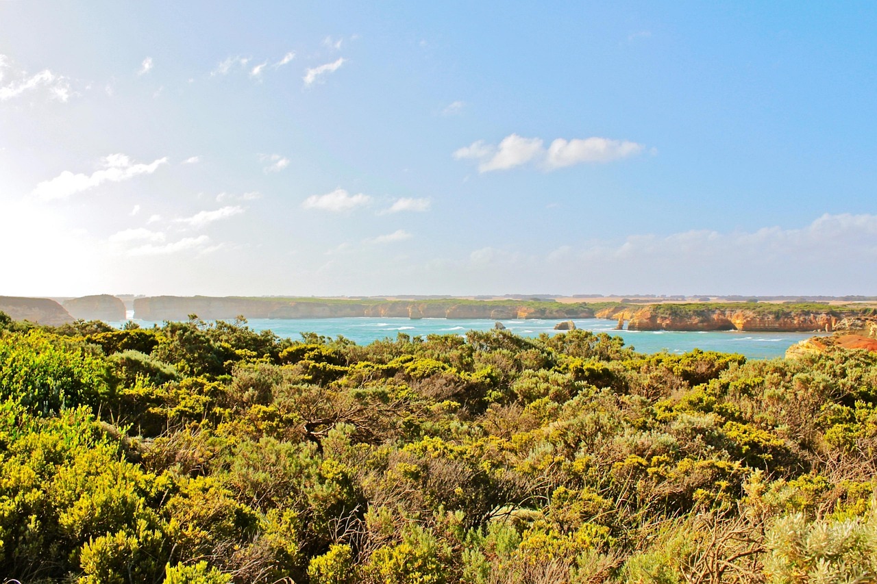 水洛鎮(zhèn)崖王村最新動態(tài)更新，最新消息匯總