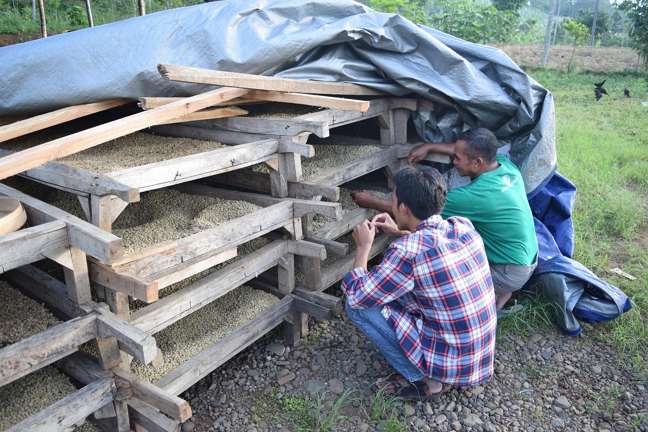 甘肅省玉門市最新房價動態(tài)分析與趨勢預(yù)測