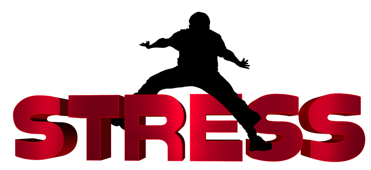 齊河二手車最新信息概覽，最新動態(tài)一網(wǎng)打盡