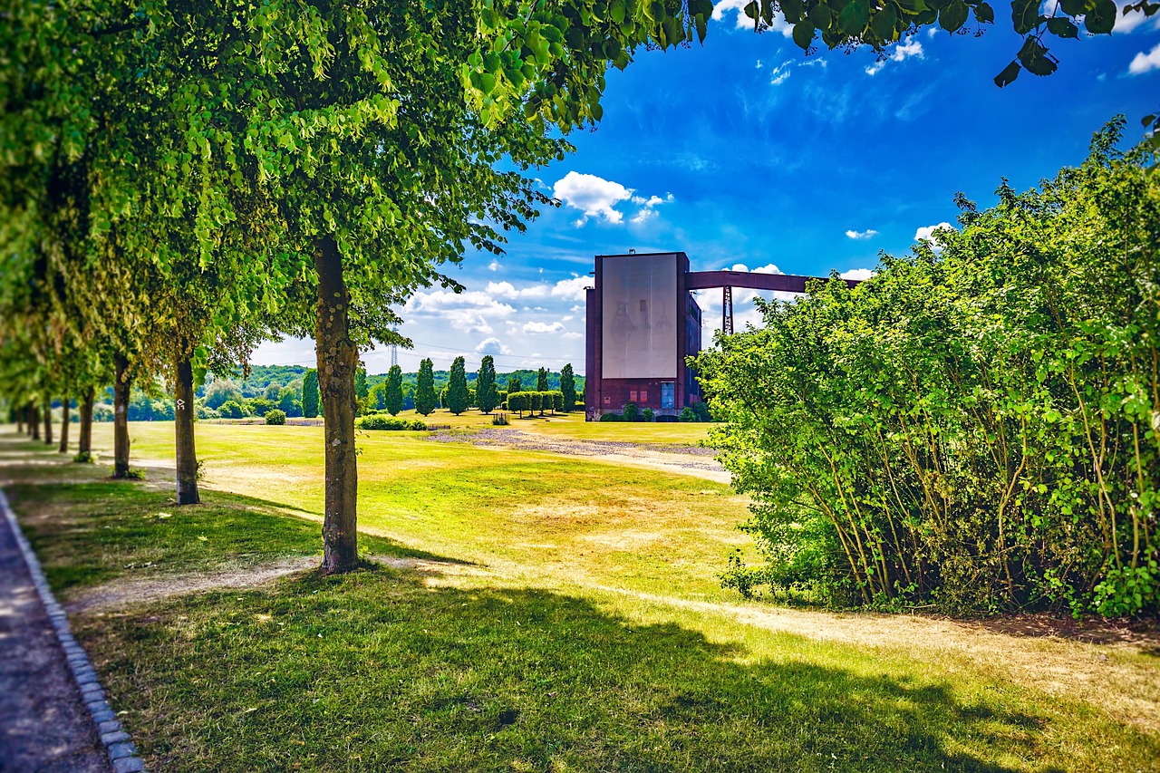 千囚梔愿 第8頁(yè)