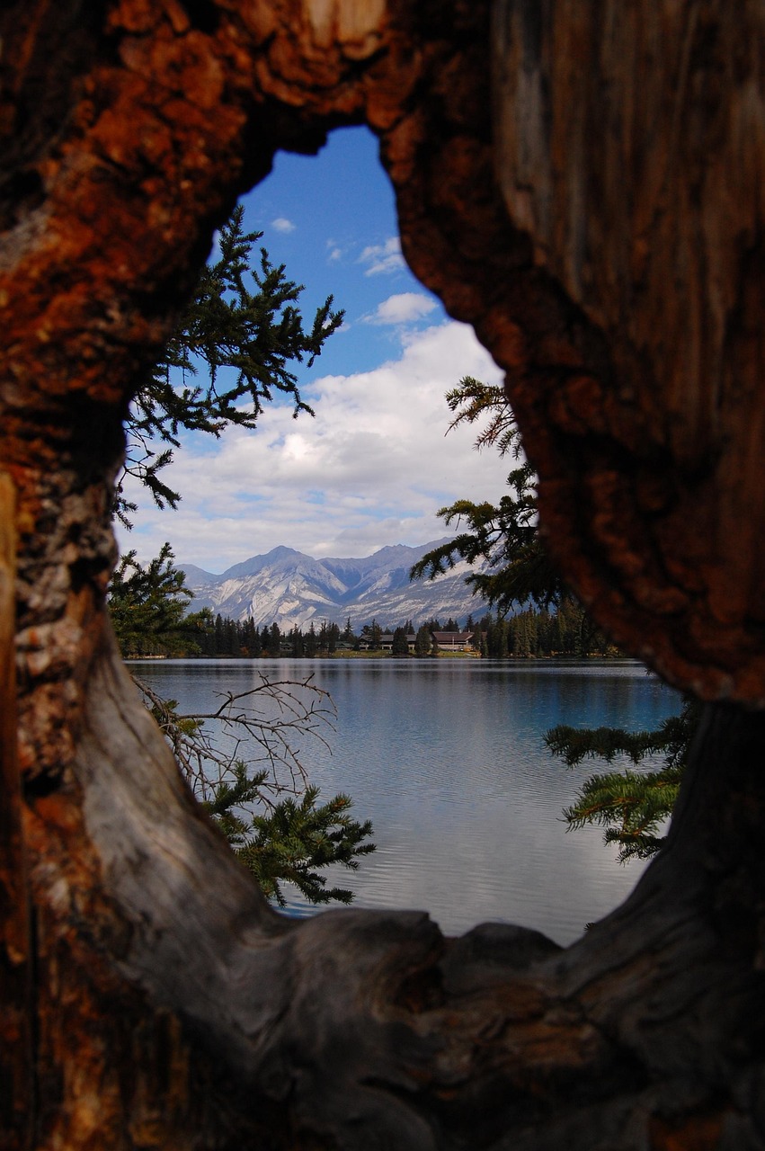 馬蓉最新動(dòng)態(tài)與反思，風(fēng)波中心的最新消息聚焦點(diǎn)