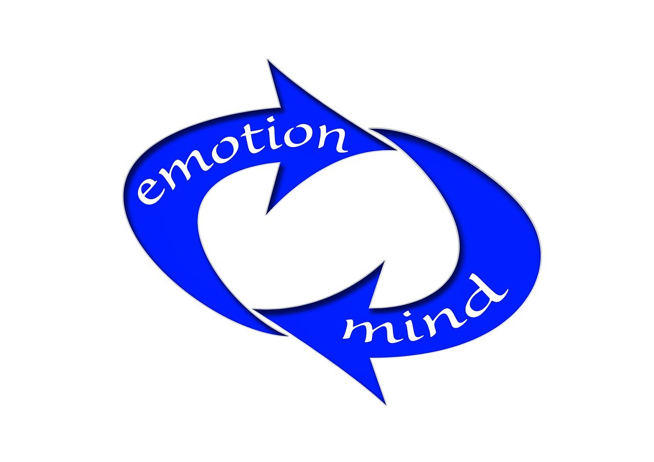 諾德股份借殼新動態(tài)，企業(yè)轉型與資本市場融合迎新機遇