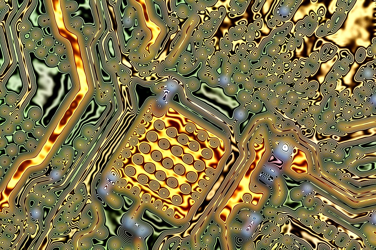 紫色蒲公英 第6頁