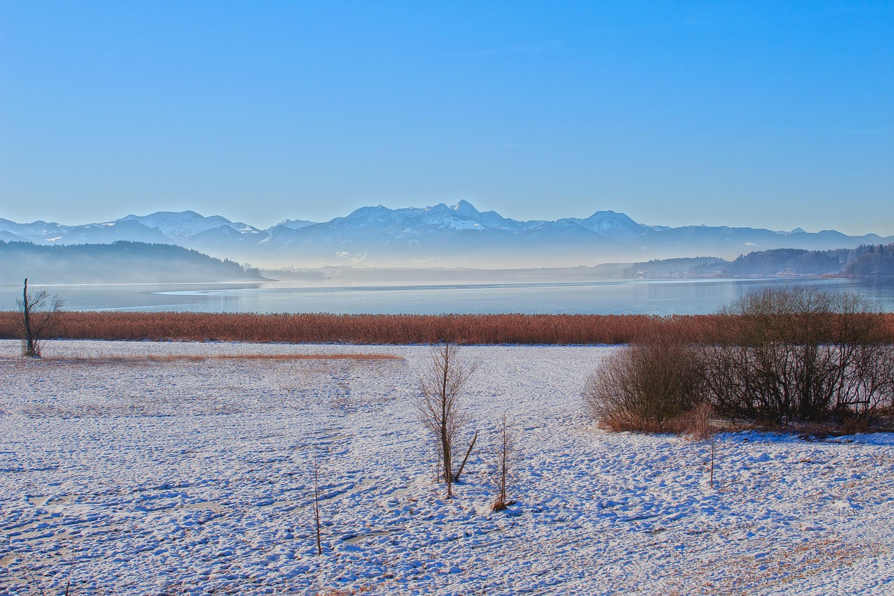 揭秘，關(guān)于1977年1分硬幣的最新消息與動態(tài)分析