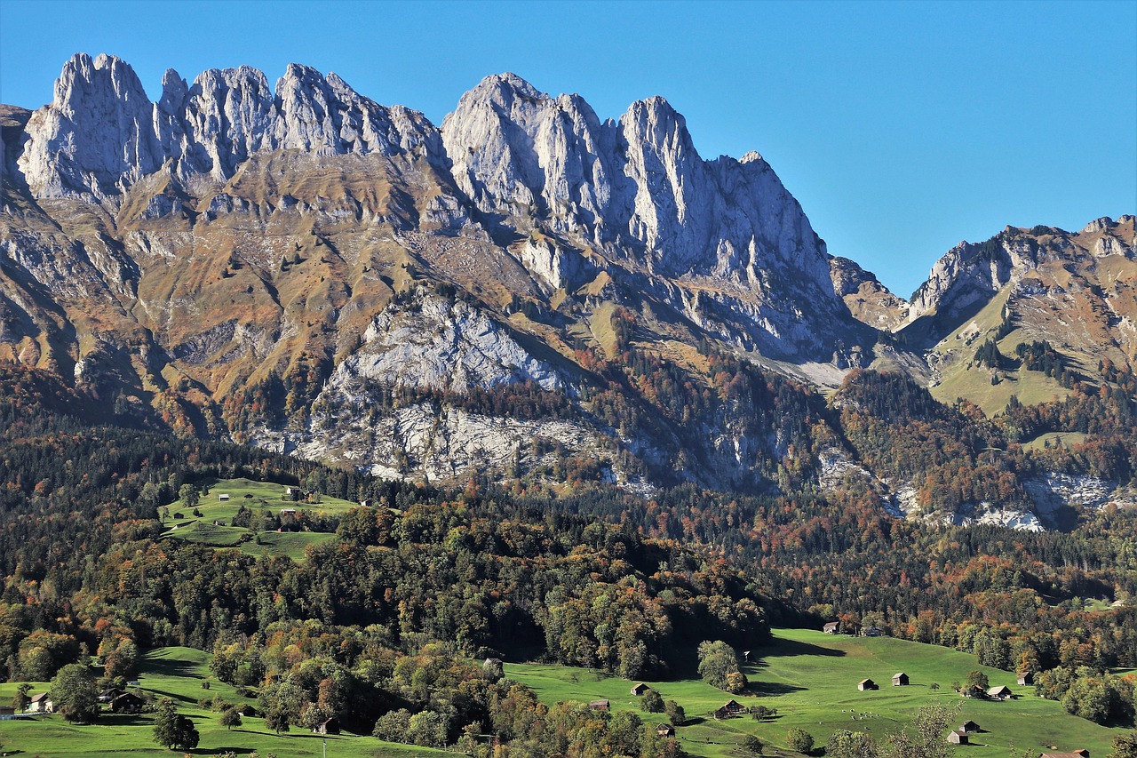 灃西新城資村發(fā)展最新動(dòng)態(tài)，脈絡(luò)、展望與未來趨勢(shì)