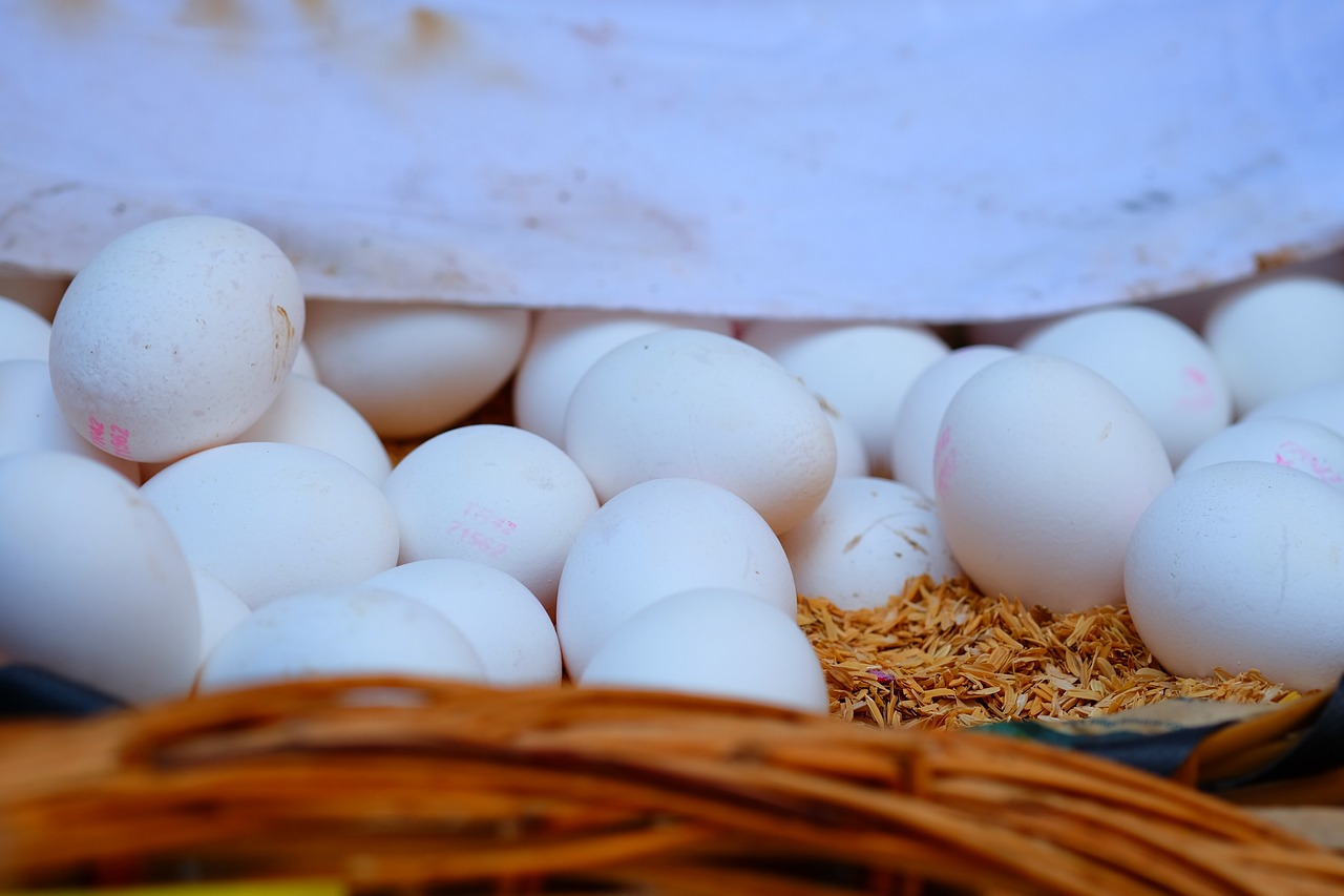 杭州網(wǎng)約車最新動(dòng)態(tài)，行業(yè)變革與未來(lái)展望