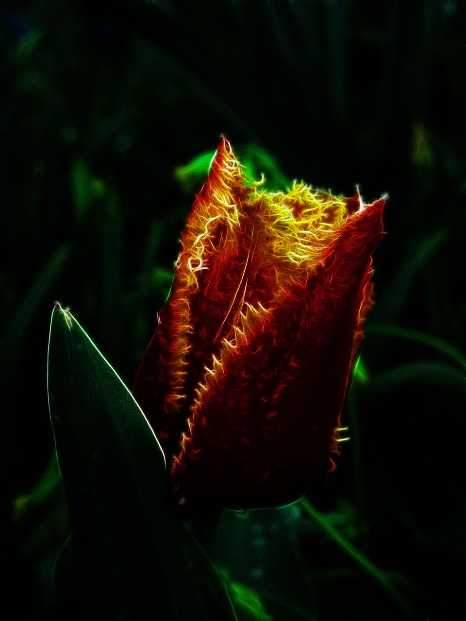 最新朵色產(chǎn)品進(jìn)貨價(jià)格表圖詳解，全面了解朵色進(jìn)貨價(jià)格動(dòng)態(tài)