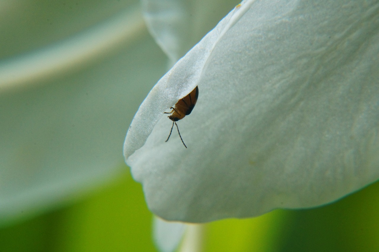 濟(jì)南地鐵R2線最新進(jìn)展報告更新，最新動態(tài)揭秘！