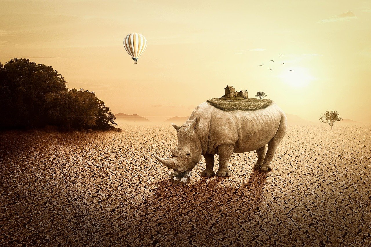 高陽最新樓盤信息全面解析，最新房源、動態(tài)及優(yōu)惠一網(wǎng)打盡！