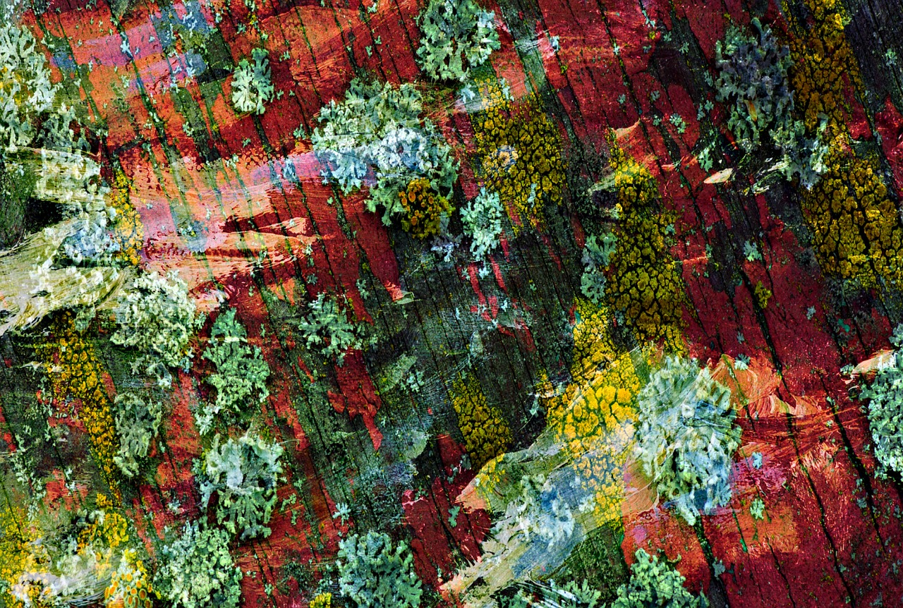 自然與現(xiàn)代交融的山野雜家新風(fēng)貌，鄉(xiāng)村新篇章