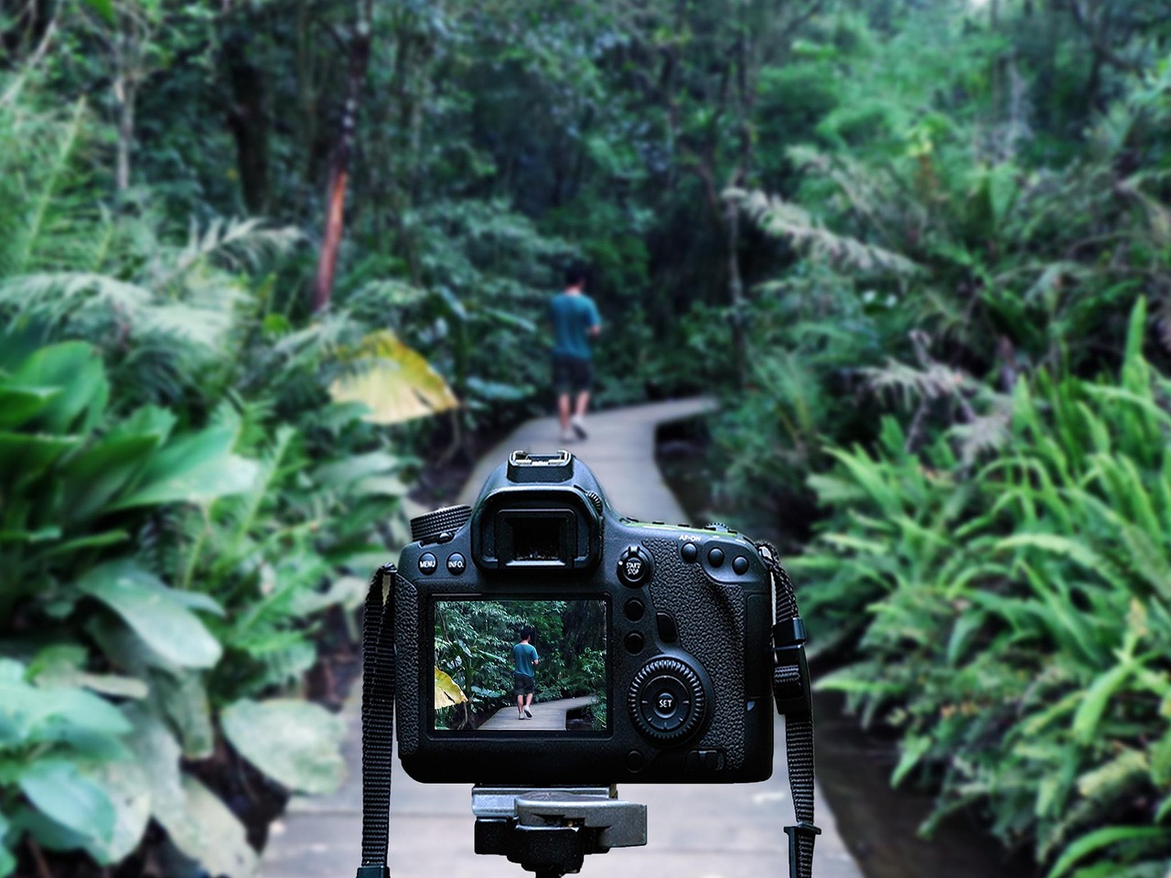 華晨宇最新動(dòng)態(tài)，音樂之旅開啟新篇章