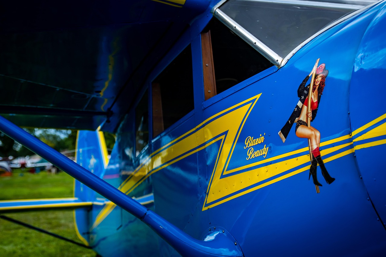 革新觀影體驗(yàn)，最新視頻app帶你飛！