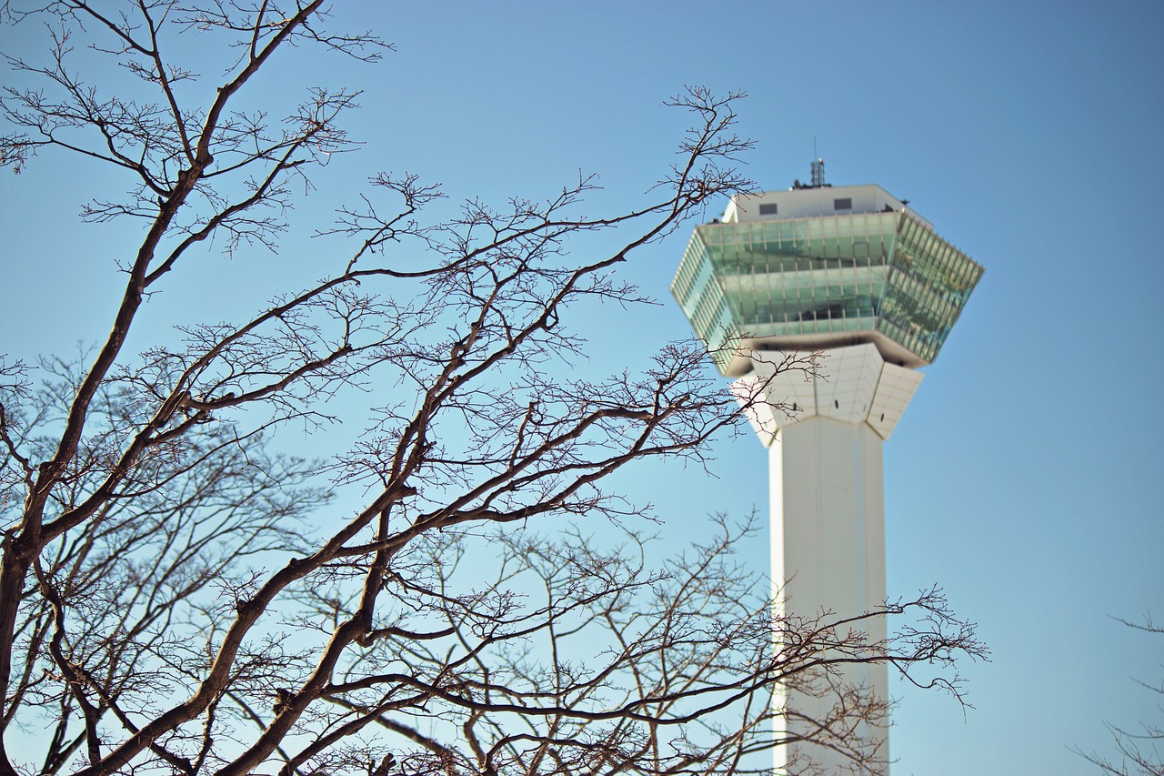 決斗之城最新動態(tài)，新時代卡牌競技盛宴揭秘